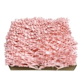 17 Pink róż wypełnienie OPAKOWACZE.jpg